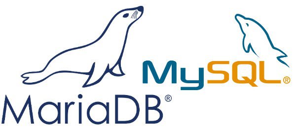 Как включить удаленный доступ к вашей базе данных MariaDB/MySQL в Ubuntu